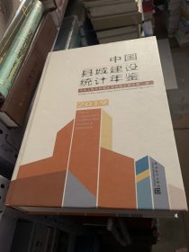 中国县城建设统计年鉴2019