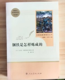 统编语文教材配套阅读 八年级下：钢铁是怎样炼成的/名著阅读课程化丛书