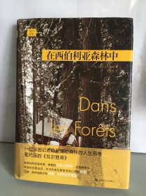 在西伯利亚森林中