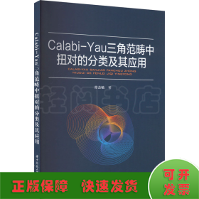 Calabi-Yau三角范畴中扭对的分类及其应用