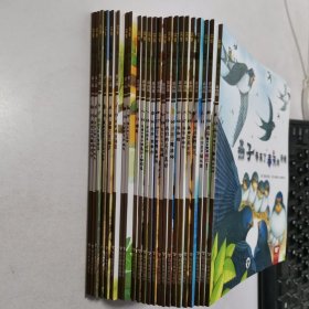 时光巴士宾果儿童自然科学儿童科普绘本 全15册第四辑 第二辑8本 【23本和售】