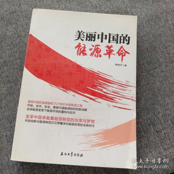 美丽中国的能源革命