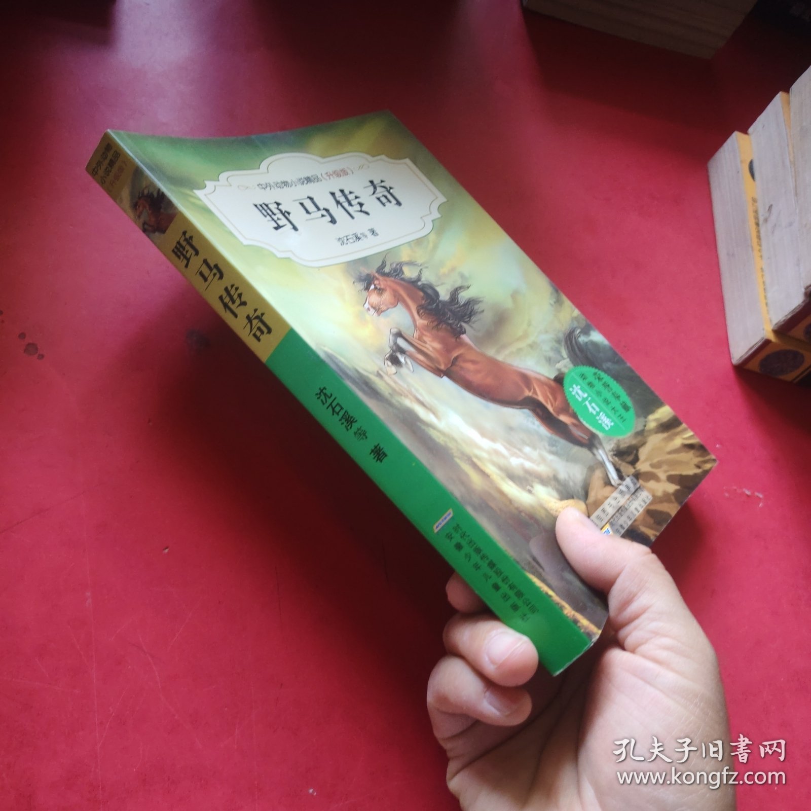 中外动物小说精品：野马传奇