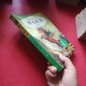 中外动物小说精品：野马传奇