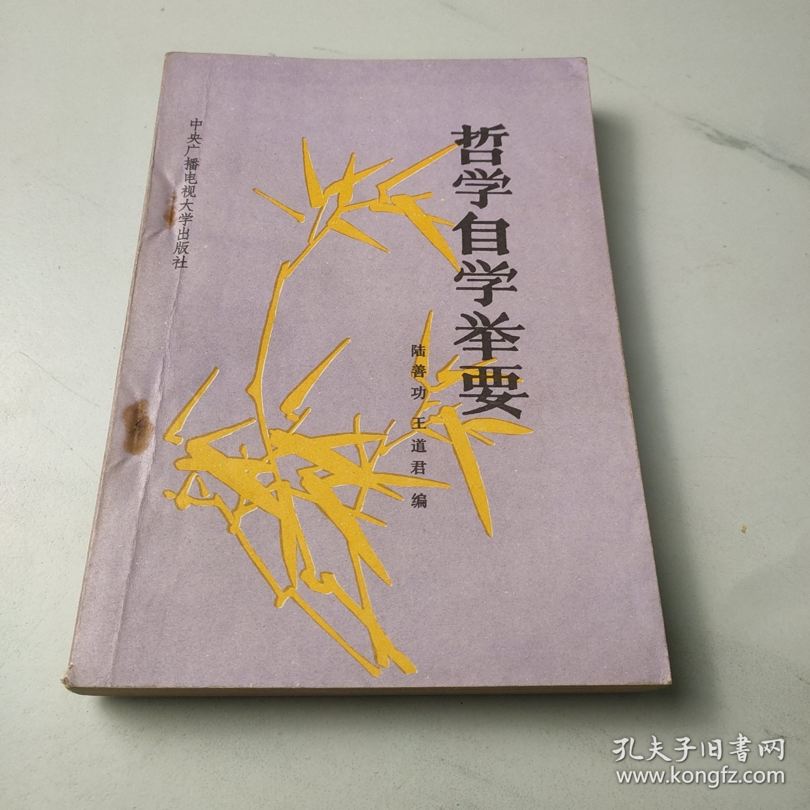 哲学自学举要