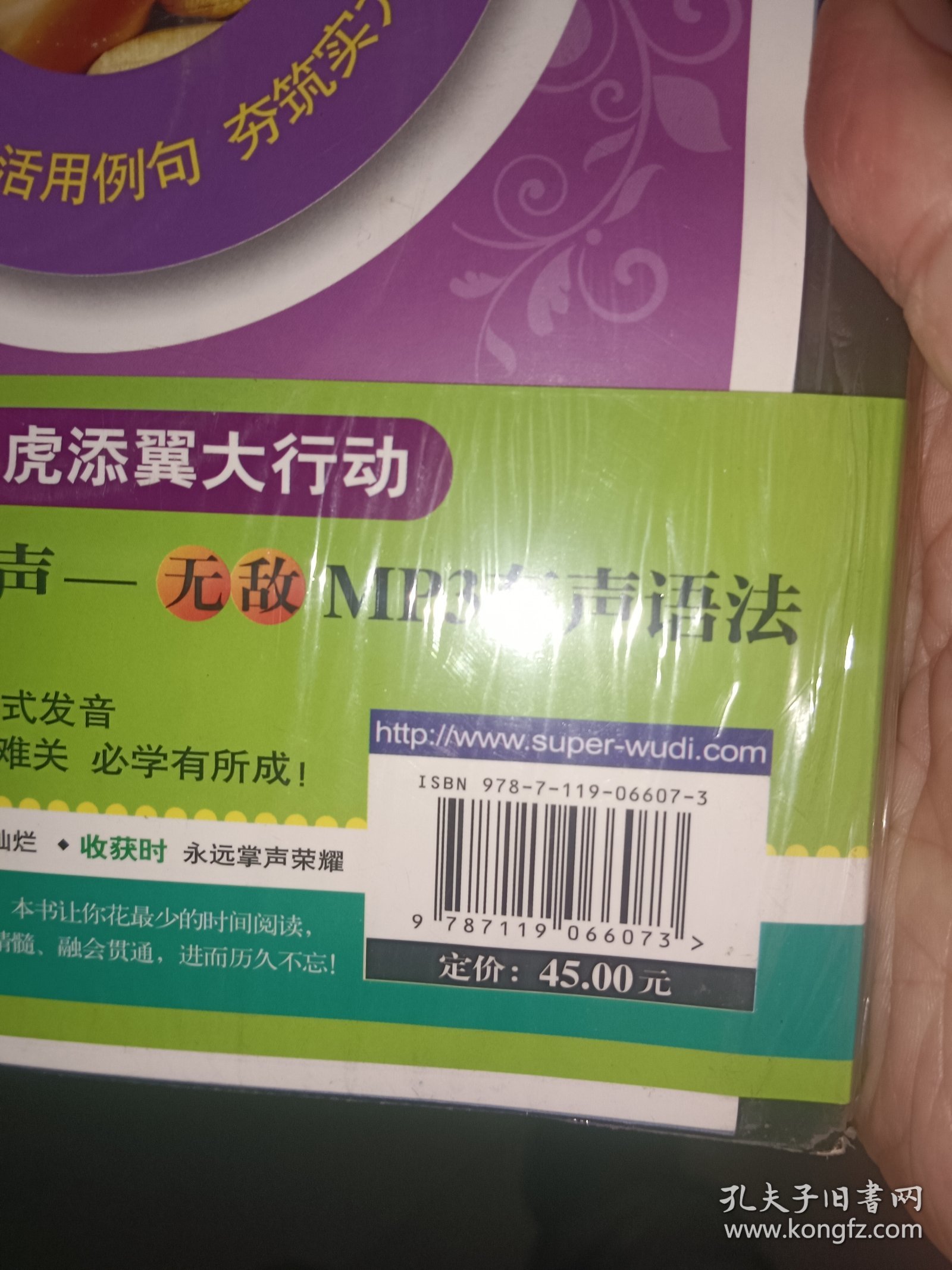 无敌新课标系列：高中英语语法