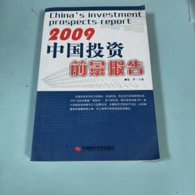 2009中国投资前景报告