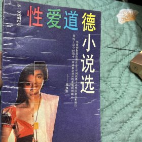 性爱道德小说选