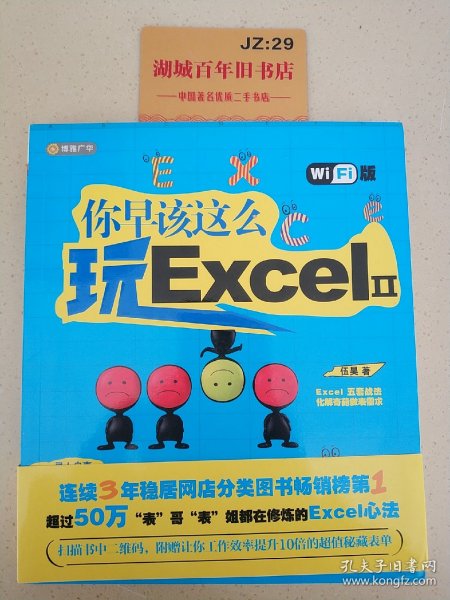 你早该这么玩Excel II （WiFi版）