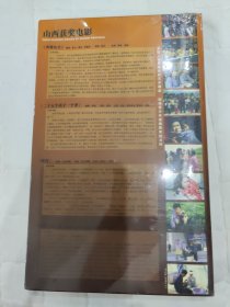 山西获奖电影（光碟）