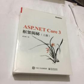 ASP.NET Core 3 框架揭秘（上下册）