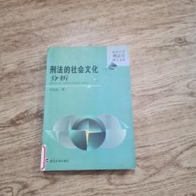 刑法的社会文化分析