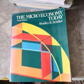 the micro economy today bradley r schiller