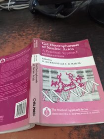 Gel Electrophoresis Of Nucleic Acids