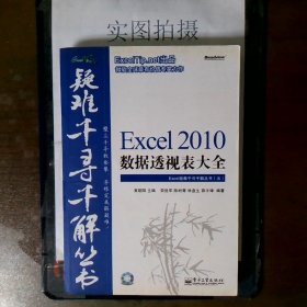 Excel 2010数据透视表大全