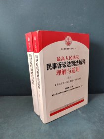 最高人民法院民事诉讼法司法解释理解与适用