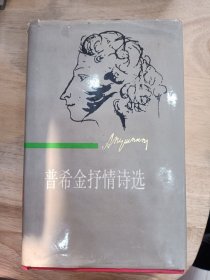普希金抒情诗选下