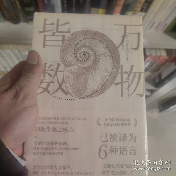 万物皆数:从史前时期到人工智能，跨越千年的数学之旅