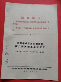 (武乡县大有公社峪口大队党支部书记)王月书大会材料