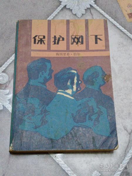 保护网下