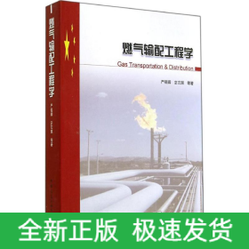 燃气输配工程学