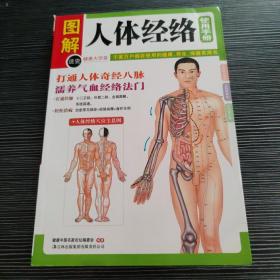 图解人体经络使用手册