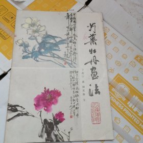 芍药牡丹画法