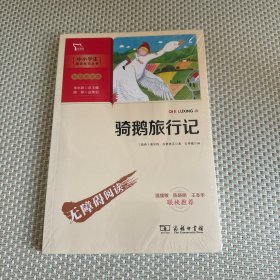 骑鹅旅行记 快乐读书吧 六年级下册推荐阅读(中小学生课外阅读指导丛书)彩插无障碍阅读 智慧熊图书