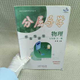 分层导学 物理 九年级全一册