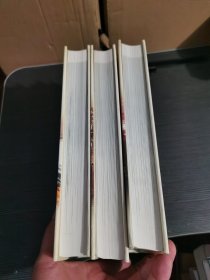 精装城市论上中下（三册全） 城市论—以杭州为例一版一印