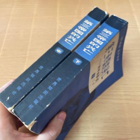 第三帝国的兴亡：纳粹德国史 中、下 2本合售
