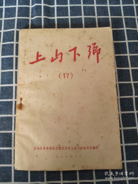 上山下乡（17）