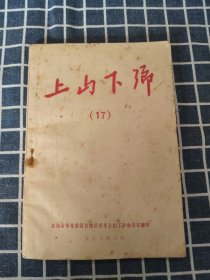 上山下乡（17）