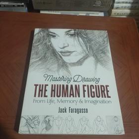 THE HUMAN FIGURE