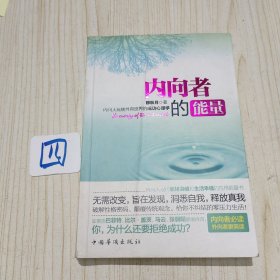 内向者的能量 内向人玩转外向世界的成功心理学