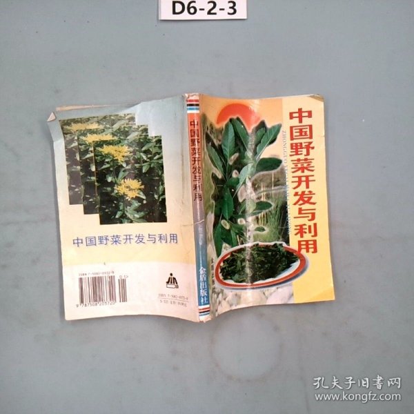 中国野菜开发与利用