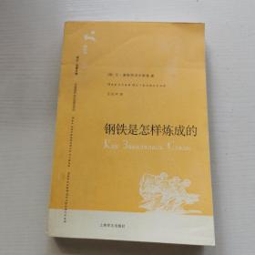 钢铁是怎样炼成的（译文名著文库037，一版一印）