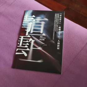 青云直上——超越叙事十三人摄影展（展览图录）付党生，黄海琼，计琳，陆焕东，钱儒雅，苏玉琦，孙乐谭，唐莉苹，吴俊伟，许安平，姚彩华，于圣蛟，周国献（策展人：巩志明）