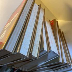 外国文学名著精品：简爱+红与黑+欧也妮·葛朗台高老头+苔丝+永别了，武器+安娜·卡列尼娜+包法利夫人+百年孤独+少年维特之烦恼浮士德巴黎圣母院 10册合售）