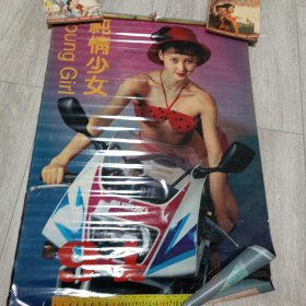 1994年塑纸挂历 纯情少女 泳装美女摩托模特（ 全12张）(无衬纸)