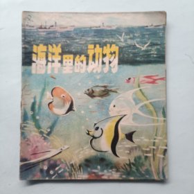 海洋里的动物