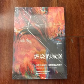 燃烧的城堡（赵大河新作）