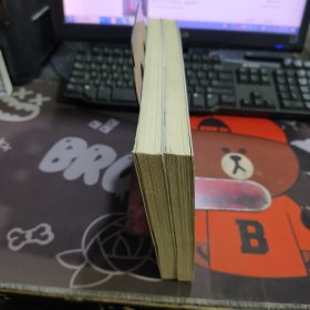 供应商管理：寻找供应商金库的钥匙（一版一印）