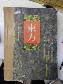 东方1996年6册合订两册【双月刊6册一年】