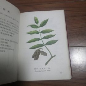 江西草药 彩图 32开。。