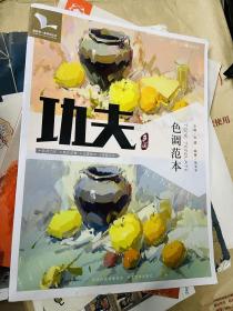 功夫色调 色调范本