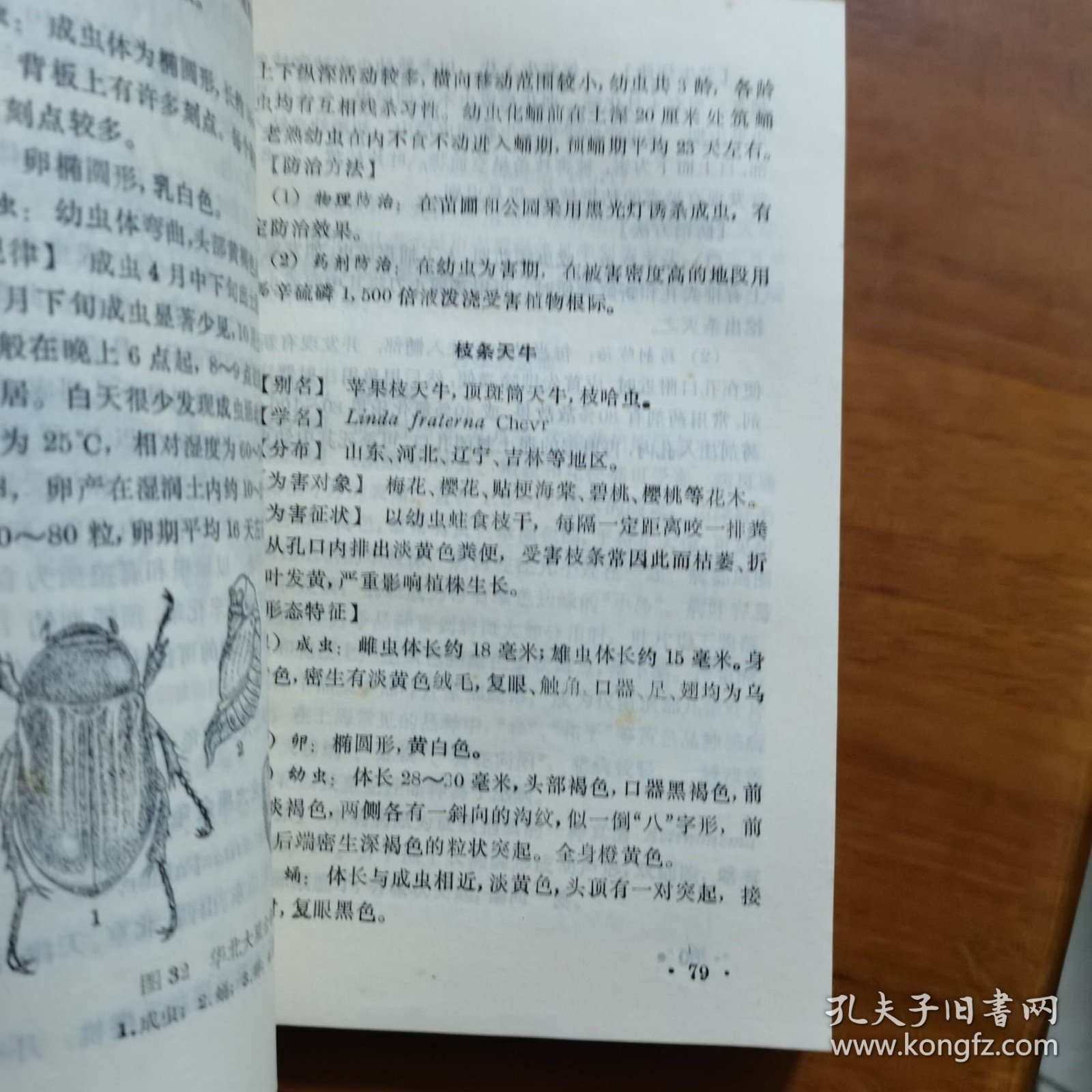 观赏花卉病虫害（放阁楼位）