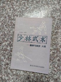 少林武术擒拿与脱打 火棍 高德江 85品1