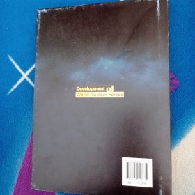 世界核力量发展