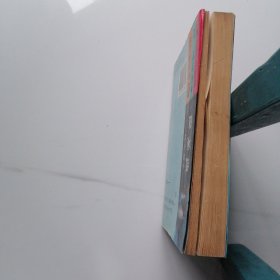 纸项链：布老虎丛书